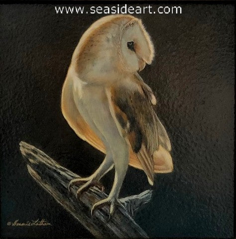 Surveyor (Barn Owl) watercolor painting by Bonnie Latham.
