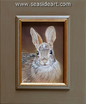 Lalingo-Young Cottontail