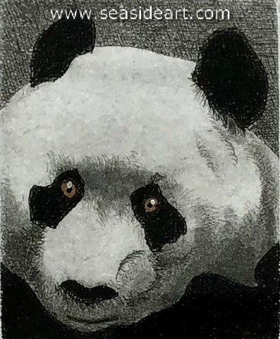 Hunter-Panda