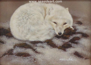 Arctic Nap - Arctic Fox by Rebecca Latham - Seaside Art Gallery