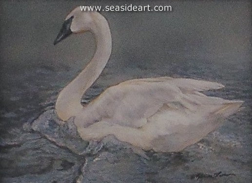 Bathing-Trumpeter Swan by Rebecca Latham - Seaside Art Gallery