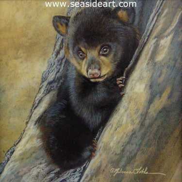 Black Bear Cub by Rebecca Latham - Seaside Art Gallery