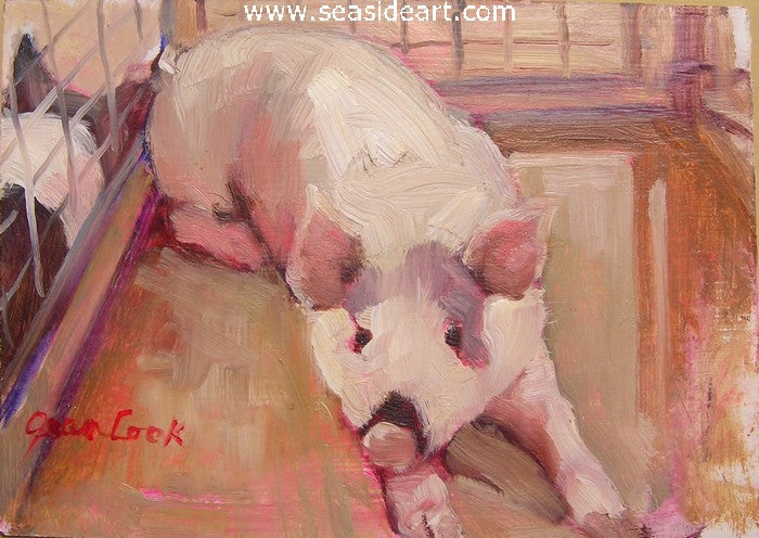 Snowball, The Pig by Jean Cook - Seaside Art Gallery