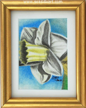 Spring - Daffodil by Connie Cruise - Seaside Art Gallery