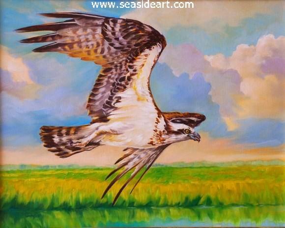 Osprey is an original oil painting by Laurie Waterfield