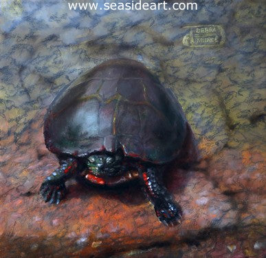 Painted Turtle is an oil painting by the artist, Debra Keirce