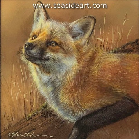 Expressions is a watercolor painting of a red fox by Rebecca Latham