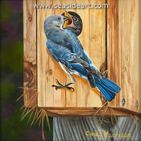 Lunch Time is an oil painting by Cindy Harrison. 