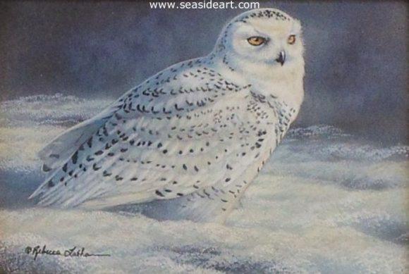 Observations (Snowy Owl) is a watercolor  painting with sterling silver by artist, Rebecca Latham
