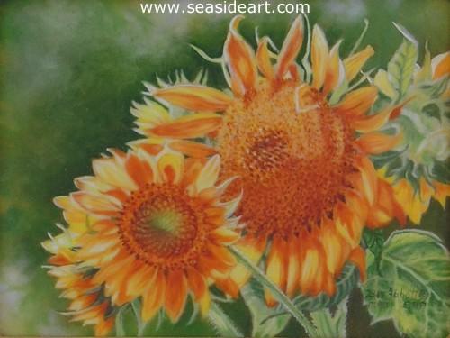 Sunflower’s Golden Glory   is an  original  oil painting on ivorine by Beverly Abbott