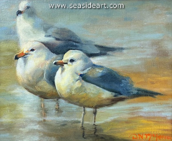 McLennan-Shallow Water