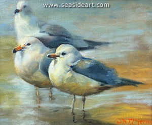 McLennan-Shallow Water