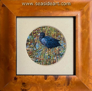 Siegrist W-American Coot Among the Reeds