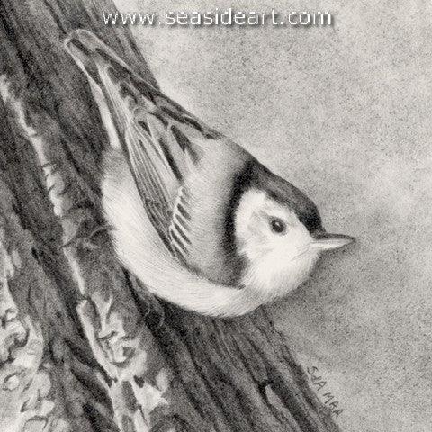 Adair-Backyard Sprite