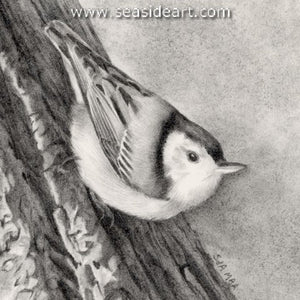 Adair-Backyard Sprite