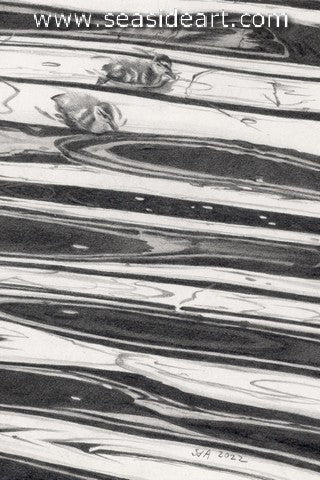 Ducklings on the Big Water (Mallards)