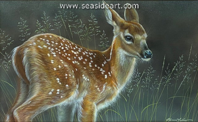 Innocent Eyes (Fawn)