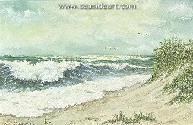 Outer Banks Surf