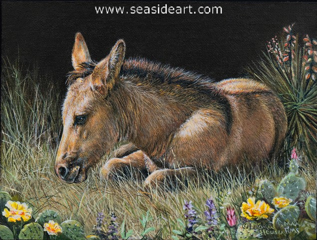 Houser-High Plains Meadow