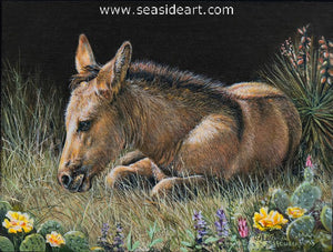 Houser-High Plains Meadow