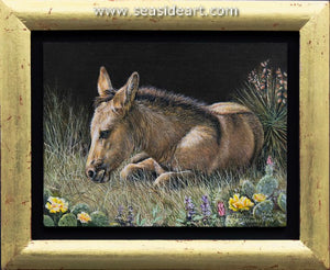 Houser-High Plains Meadow