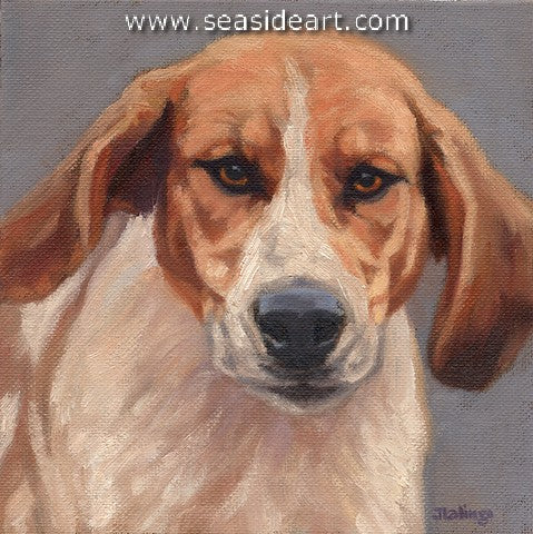 Lalingo-Hound Energy