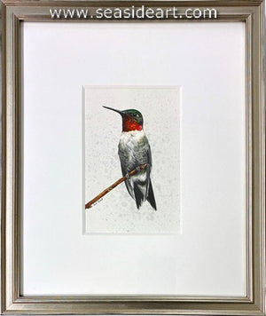 Adair-Hummingbird on Alert