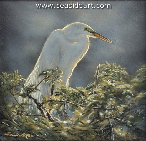 Dappled Elegance (Great Egret)