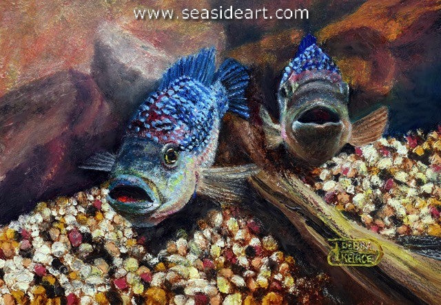 Keirce-The Morning Gossip