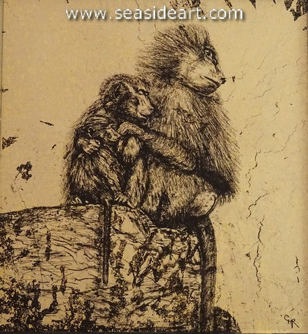 Russell-Nap Time (Hamadryas Baboon)