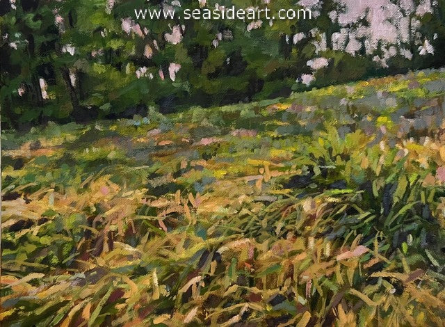 Hipschen-Sun Setting Grassy Field