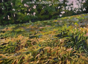 Hipschen-Sun Setting Grassy Field