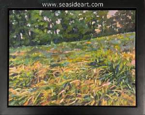 Hipschen-Sun Setting Grassy Field