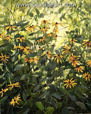 Hipschen-Morning Field