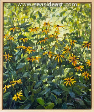 Hipschen-Morning Field