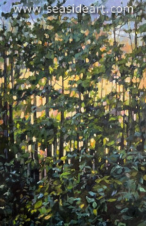 Hipschen-Sunrise Through the Trees