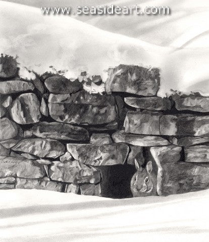 Adair-Taking A Peek Outside