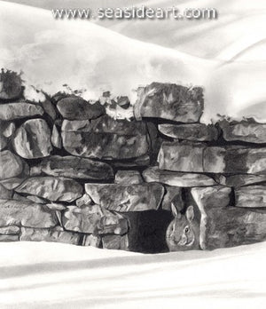 Adair-Taking A Peek Outside