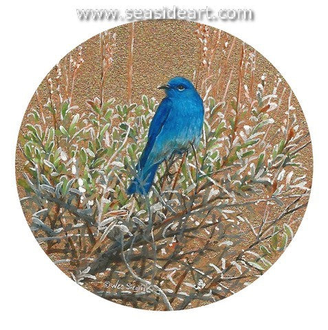 Siegrist W-Teton Blue