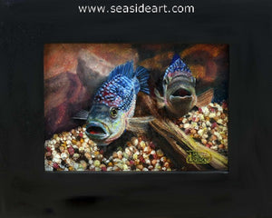 Keirce-The Morning Gossip