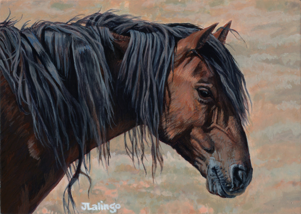 Lalingo-Thunderstruck (Onaqui)