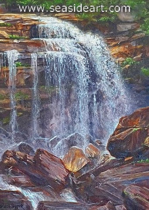 Siegrist W-Upper Section of Whitewater Falls