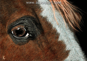 Kibbe-Window Into Grace