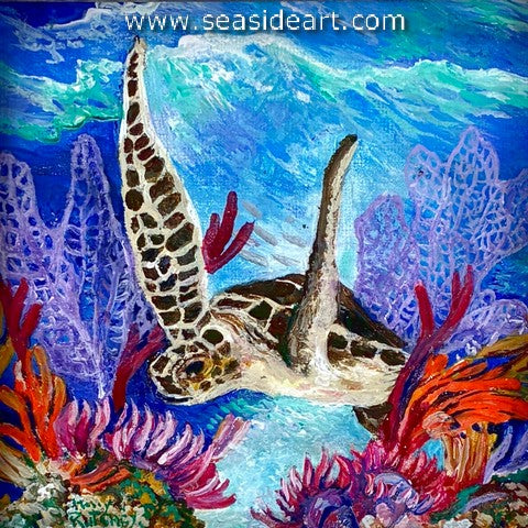 Rutchey-Above the Reef