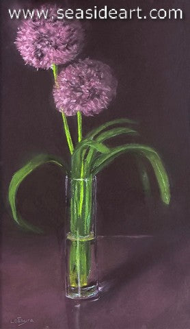 Allium
