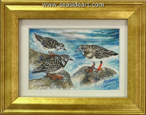 Rutchey-Along the Shore