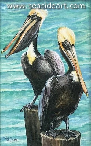 Pair O 'Pelicans
