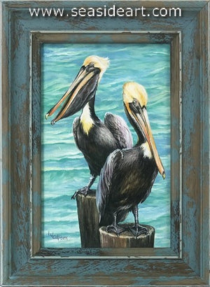 Callison-Pair O 'Pelicans