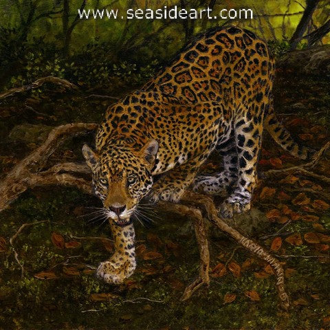 Mann-Approaching Jaguar