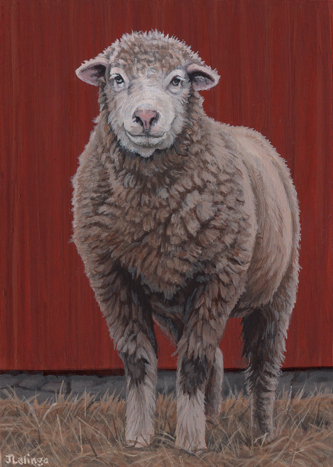 Lalingo-Baa-Attitude